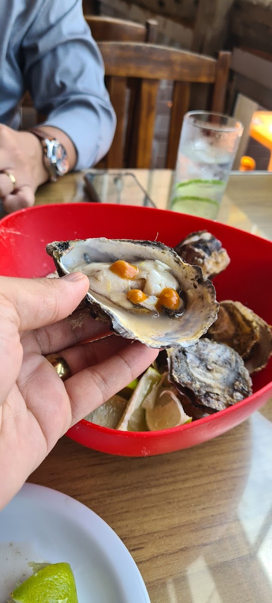 Restaurante Do Moca-7